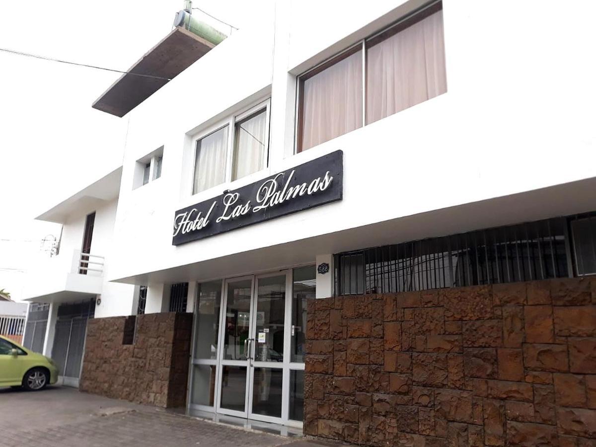 Hotel Las Palmas Арика Экстерьер фото