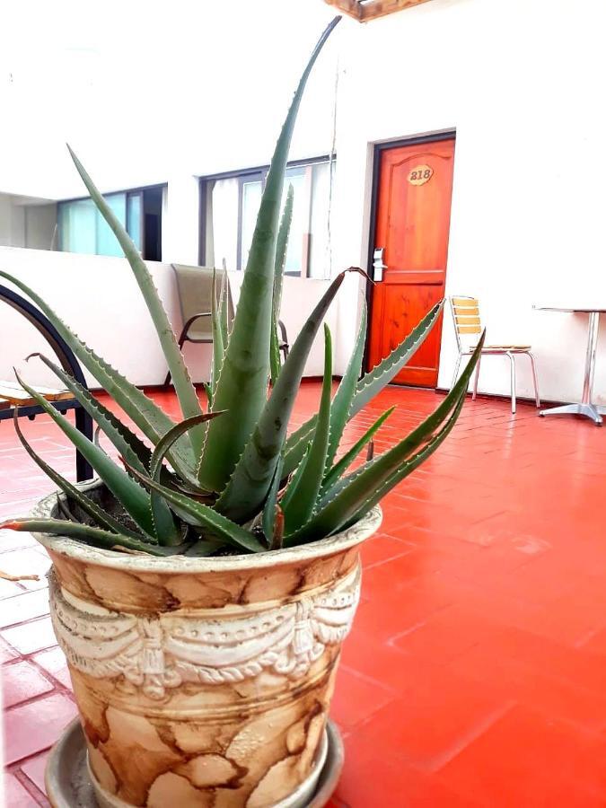 Hotel Las Palmas Арика Экстерьер фото